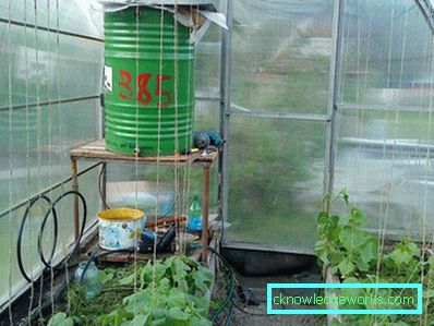 Irrigação por gotejamento na estufa: o dispositivo e as vantagens do sistema
