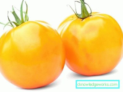 351 tomates amarelos